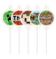 10 Palhinhas Minecraft