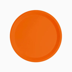 10 Pratos Papel Laranja Ø 20,5cm