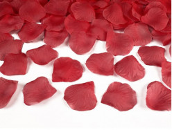 100 Pétalas Rosa Vermelho