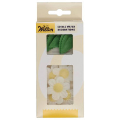 11 Flores Brancas e Folhas Verdes de Obreia Wilton