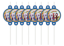 12 Palhinhas Spidey and his Amazing Friends
