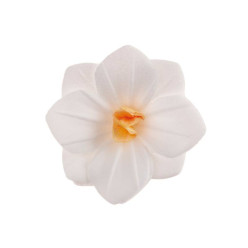 18 Flores de Obreia Brancas 4cm