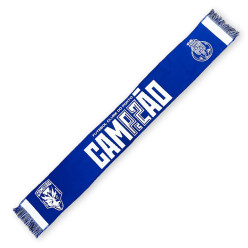 Cachecol Campeão F. C. Porto