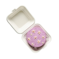 Caixa Bentô Cake / Hambúrguer Cana de Açucar 15x15x8cm