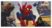 Cenário Decoração Spiderman