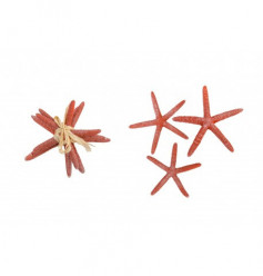 Conjunto 3 Estrelas Mar