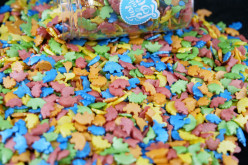 Decoração Mix Dinossauros 55g