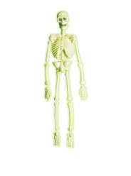 Esqueleto Halloween Fluorescente 92cm