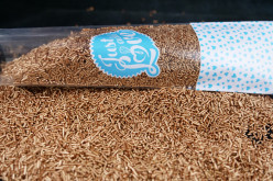 Granulado Bolo Bronze Brilhante