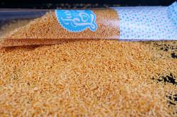 Granulado Bolo Laranja Brilhante