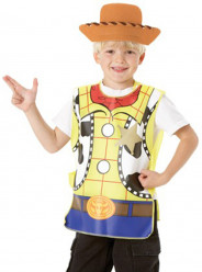 Kit Woody Toy Story