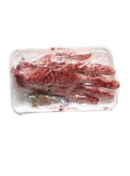 Mão Amputada Vácuo Halloween