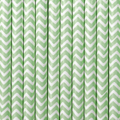Palhinhas Papel Ziguezague Menta 10 uni