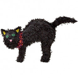 Pinhata Gato Preto halloween