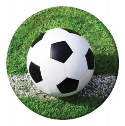 Pratos Festa Futebol 22 cm 8 unid