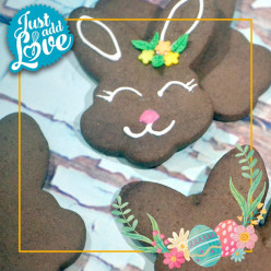 Preparado Bolachinhas de Cacau 500g