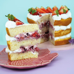 Preparado Sponge Cake 500gr