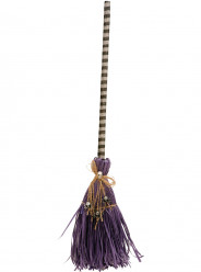 Vassoura roxa com aranhas Halloween