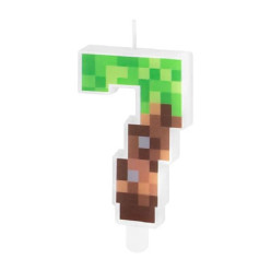 Vela Minecraft Nº 7